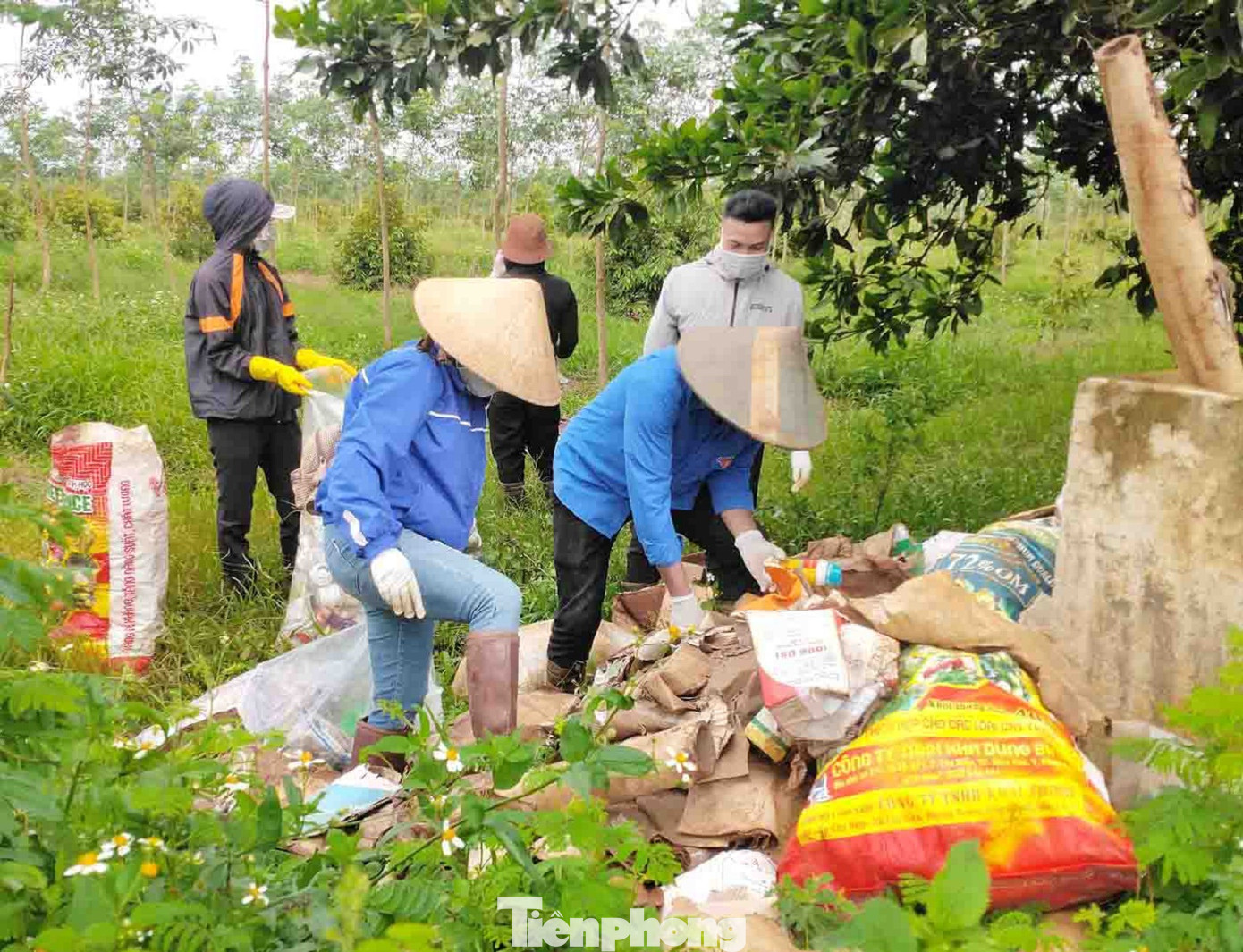Các bể thu gom được bố trí ở khu vực thuận tiện, dọc các kênh mương, đồng ruộng, trên trục đường chính dẫn ra đồng, rẫy cà phê…