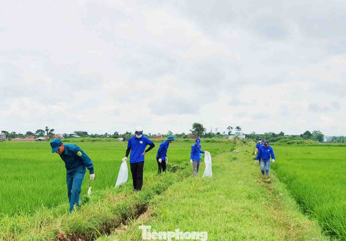 Nhiều huyện Cư M’gar, Krông Búk, Krông Pắc,… là địa phương có diện tích đất sản xuất nông nghiệp lớn. Trong quá trình sản xuất, nông dân thường sử dụng thuốc bảo vệ thực vật (BVTV) cho cây trồng để phòng trừ sâu bệnh và tăng năng suất, từ đó tiềm ẩn nguy cơ gây ô nhiễm môi trường.