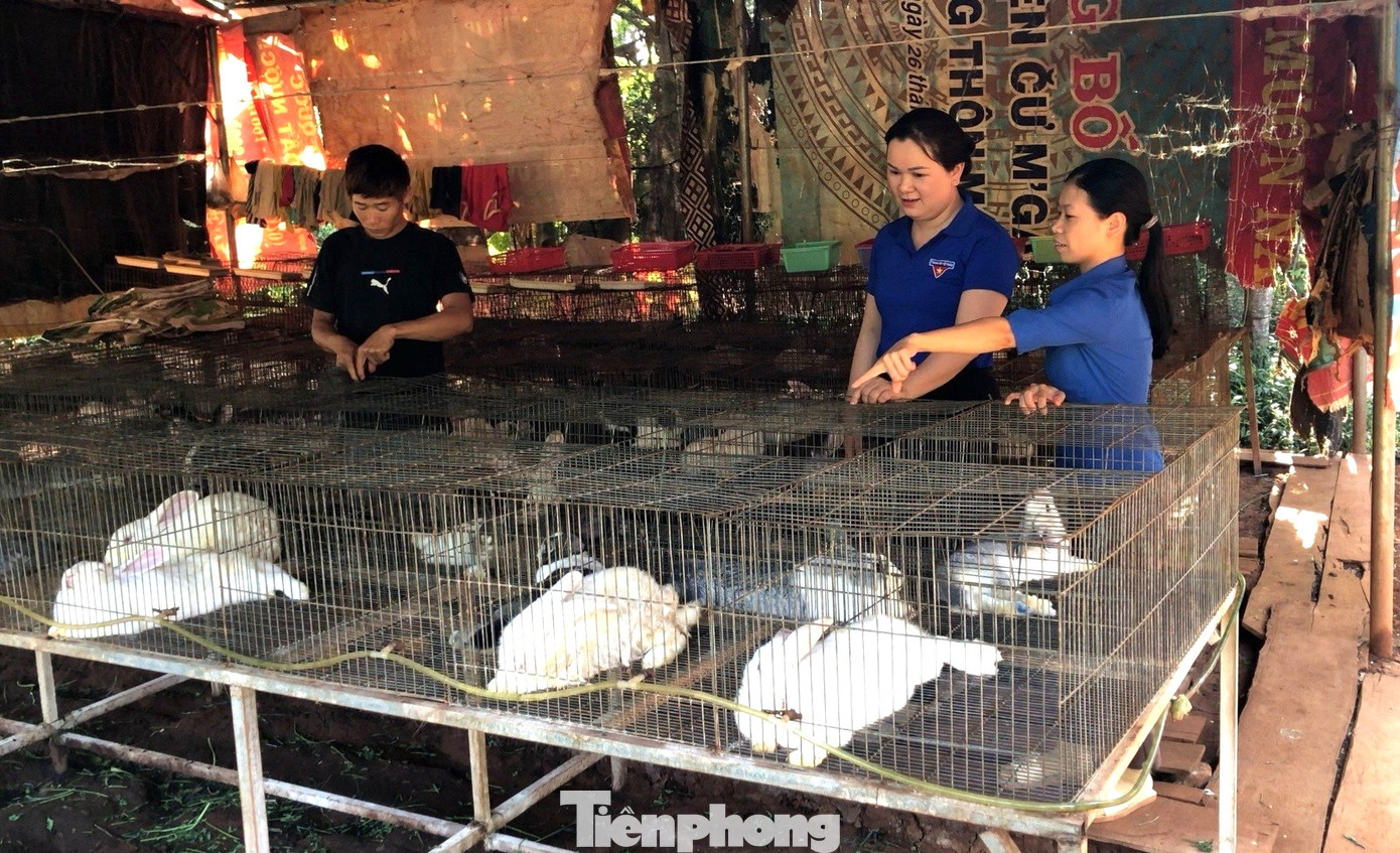 Nhiều mô hình khởi nghiệp điển hình của thanh niên huyện Cư M'gar Nhiều mô hình khởi nghiệp điển hình của thanh niên huyện Cư M'gar