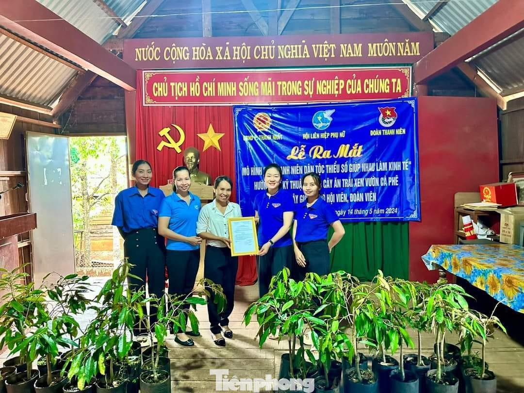 Thành viên câu lạc bộ "Nữ thanh niên dân tộc thiểu số giúp nhau làm kinh tế" được trao tặng 150 cây sầu riêng Thành viên câu lạc bộ "Nữ thanh niên dân tộc thiểu số giúp nhau làm kinh tế" được trao tặng 150 cây sầu riêng