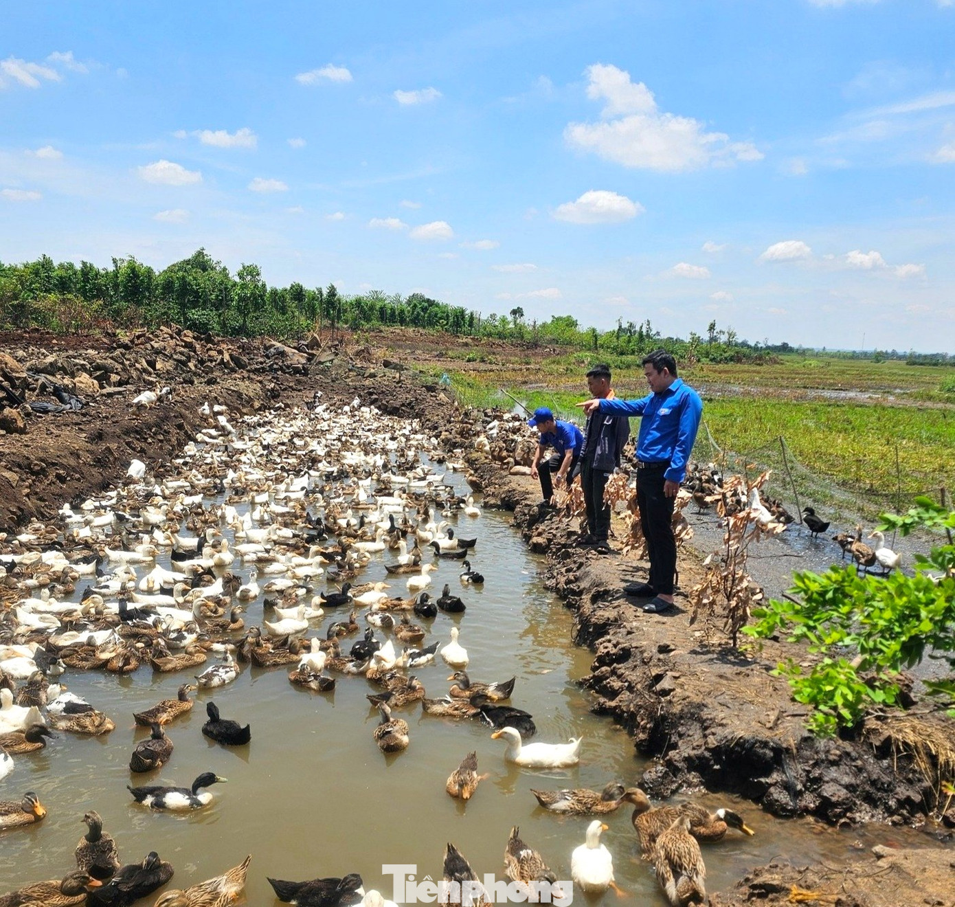 17 mô hình sinh kế của đoàn viên, hội viên được trao vốn khởi nghiệp 17 mô hình sinh kế của đoàn viên, hội viên được trao vốn khởi nghiệp