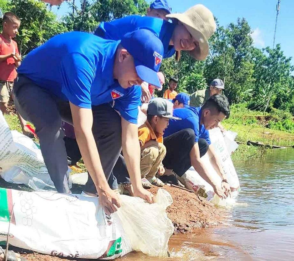 Đoàn thanh niên thả cá Đoàn thanh niên thả cá