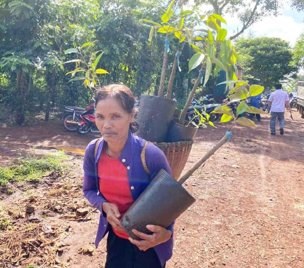 Hộ gia đình khó khăn được hỗ trợ cây giống sầu riêng Hộ gia đình khó khăn được hỗ trợ cây giống sầu riêng