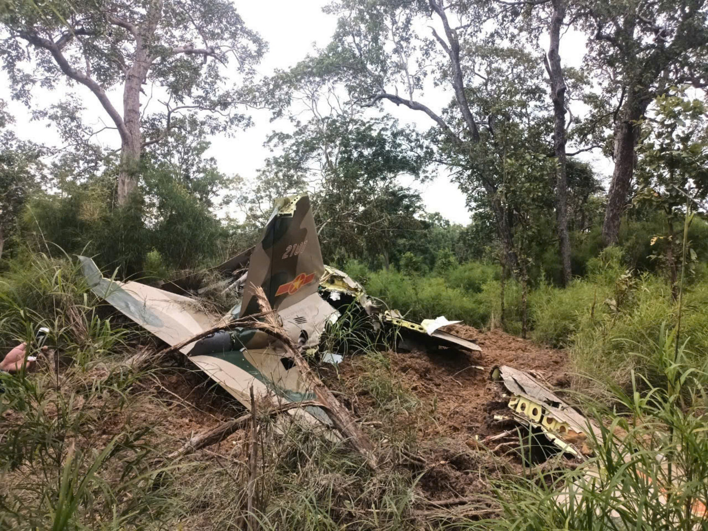 Khu vực máy bay rơi làm xới tung một khoảnh đất và chỉ đè gãy một số cây nhỏ