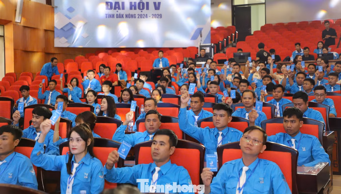 Các đại biểu tham dự đại hội