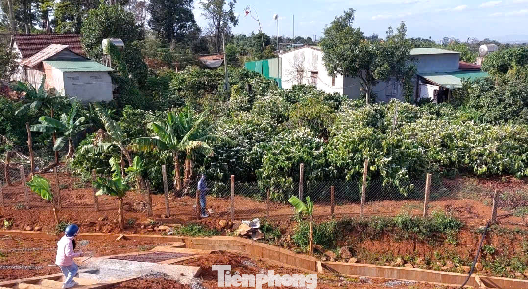 Bà Thái Thị Hải (huyện Cư M’gar, Đắk Lắk) cho biết, gia đình bà trồng hơn 1ha cà phê xen canh sầu riêng, tiêu.