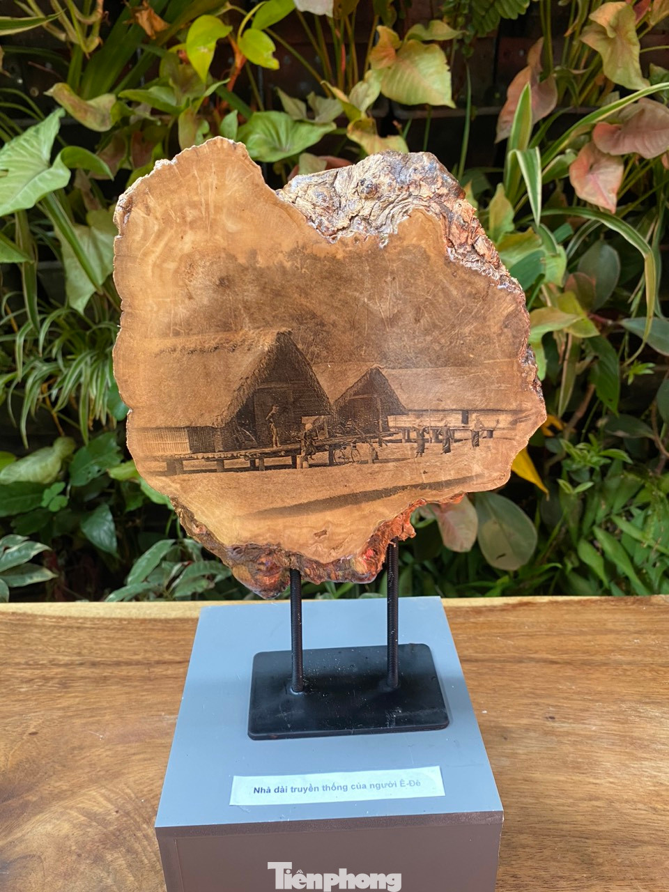 Loạt ảnh Buôn Ma Thuột xưa được họa sĩ Nohochi sưu tầm từ nhiều nguồn tư liệu khác nhau. Trong đó, ông chủ yếu lấy cảm hứng từ tác phẩm của nhiếp ảnh gia người Pháp, chụp và ghi nhận về Buôn Ma Thuột từ những 1960-1970.