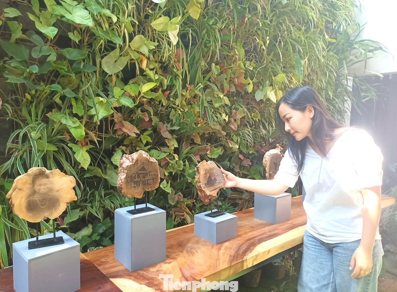 Họa sĩ Nohochi cho biết anh chọn những thân gỗ cà phê hơn 30 năm tuổi để phóng tác ảnh nhằm góp phần quảng bá về loại cây trồng chủ lực ở địa phương. Đồng thời, tận dụng những cây cà phê già cỗi ở các vườn cà phê, tránh lãng phí nguồn tài nguyên.