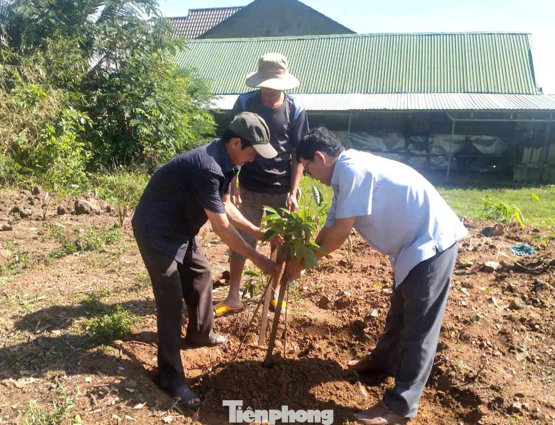 Cán bộ xã Ea Trul hướng dẫn người dân kỹ thuật trồng cây vải Cán bộ xã Ea Trul hướng dẫn người dân kỹ thuật trồng cây vải