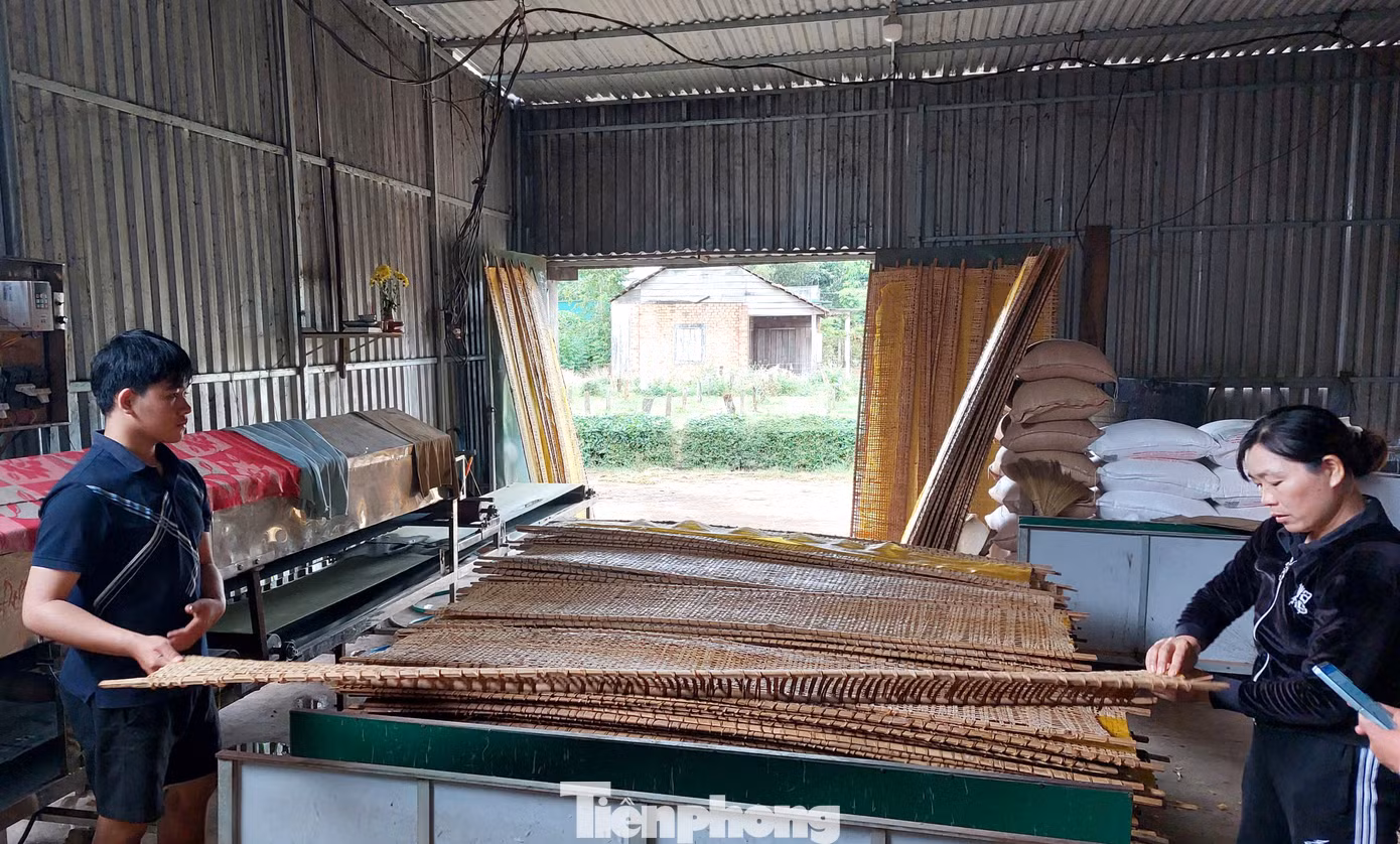 Các hộ chủ yếu quê Bình Định di cư đến đây sinh sống từ năm 1982. Họ mang theo nghề làm bánh tráng truyền thống lên quê hương thứ hai lập nghiệp. Các hộ chủ yếu quê Bình Định di cư đến đây sinh sống từ năm 1982. Họ mang theo nghề làm bánh tráng truyền thống lên quê hương thứ hai lập nghiệp.