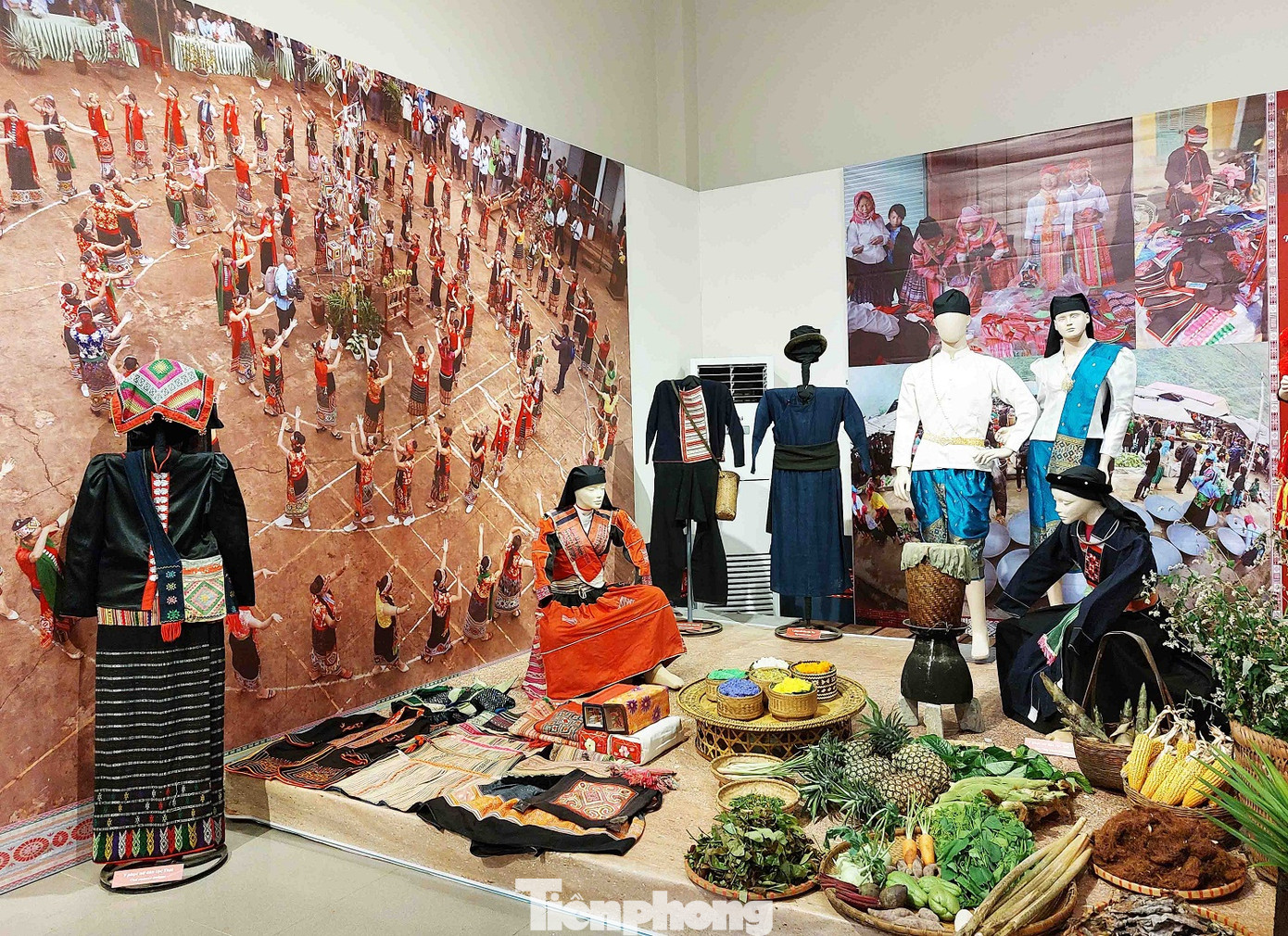 Nhóm ngôn ngữ Tày - Thái