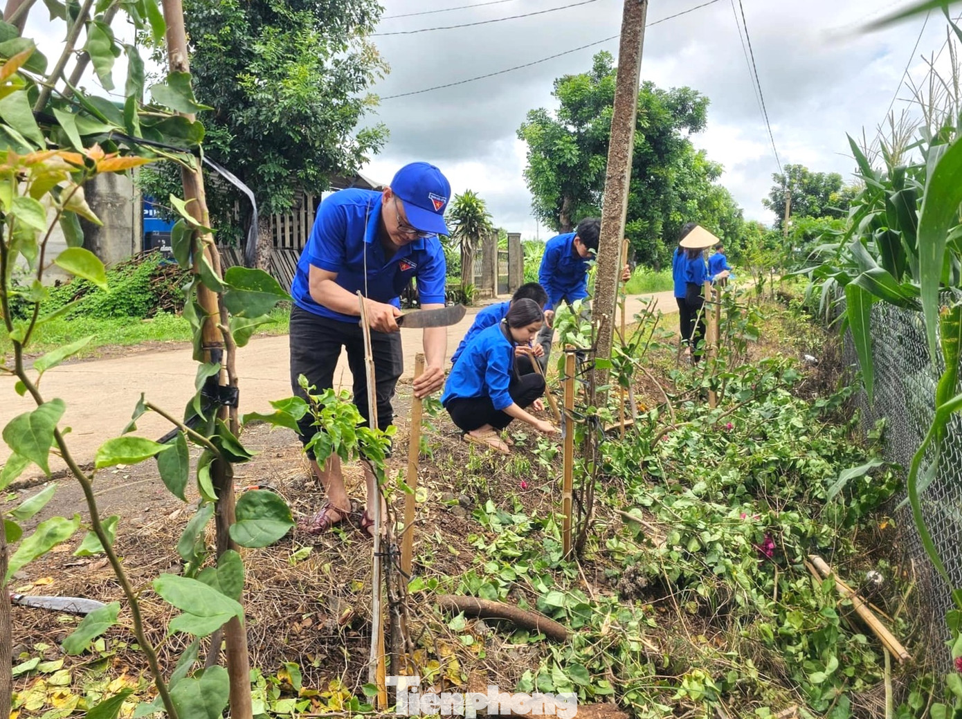 Ngày 21/7, các tổ chức cơ sở đoàn trên địa bàn huyện Cư M’gar triển khai đồng loạt "Ngày cao điểm chung tay xây dựng cảnh quan và bảo vệ môi trường nông thôn".