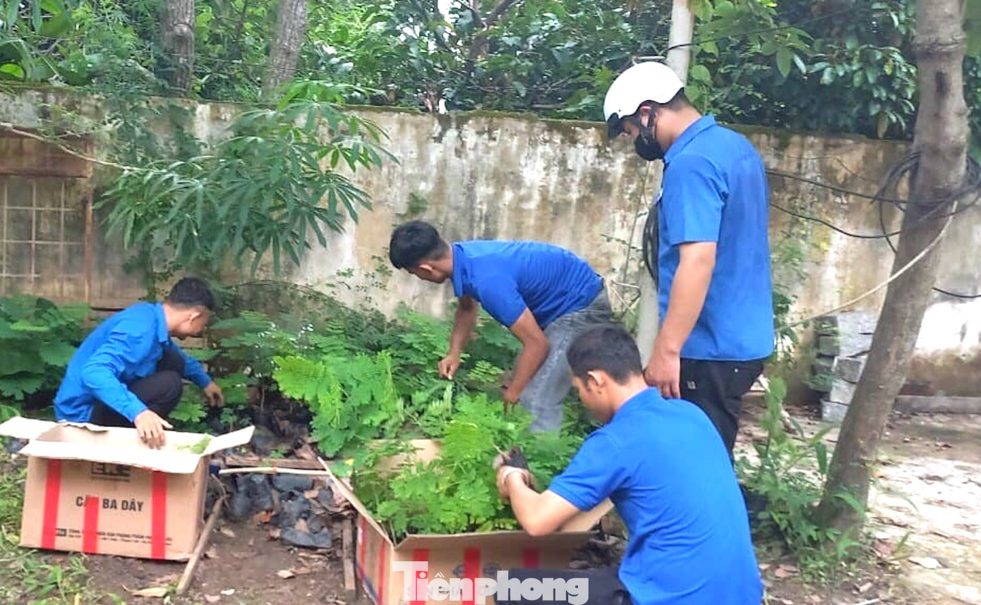 Tuổi trẻ huyện Lắk thực hiện các công trình, phần việc: Trồng mới lại 60 cây bích phượng, thông; hỗ trợ bà con di dời vật dụng, gia súc, gia cầm tránh chỗ ngập, lụt; phát quang 5km đường liên thôn, dọn dẹp vệ sinh môi trường; chăm sóc hàng cây thanh niên…