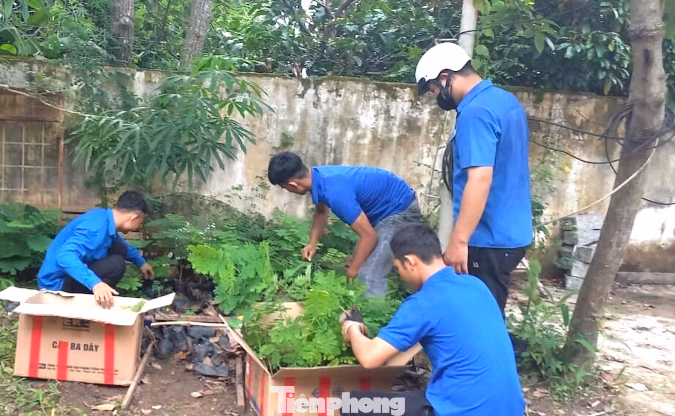 Tuổi trẻ huyện Lắk thực hiện các công trình, phần việc: Trồng mới lại 60 cây bích phượng, thông; hỗ trợ bà con di dời vật dụng, gia súc, gia cầm tránh chỗ ngập, lụt; phát quang 5km đường liên thôn, dọn dẹp vệ sinh môi trường; chăm sóc hàng cây thanh niên…