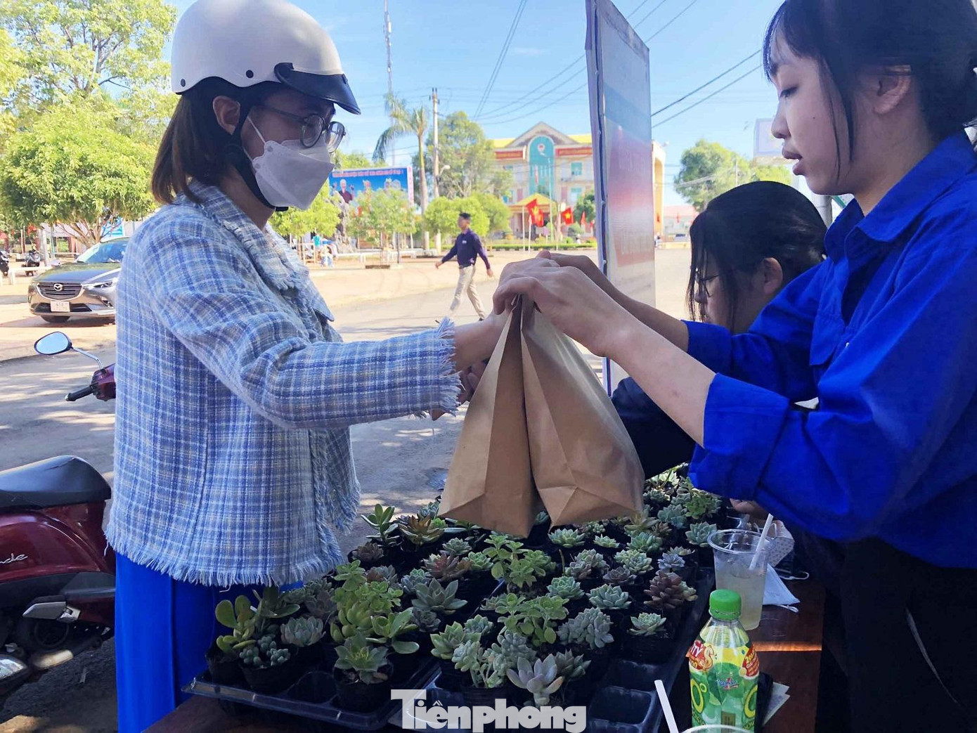 Nhiều người dân mua ủng hộ cây và chậu trồng cây Nhiều người dân mua ủng hộ cây và chậu trồng cây