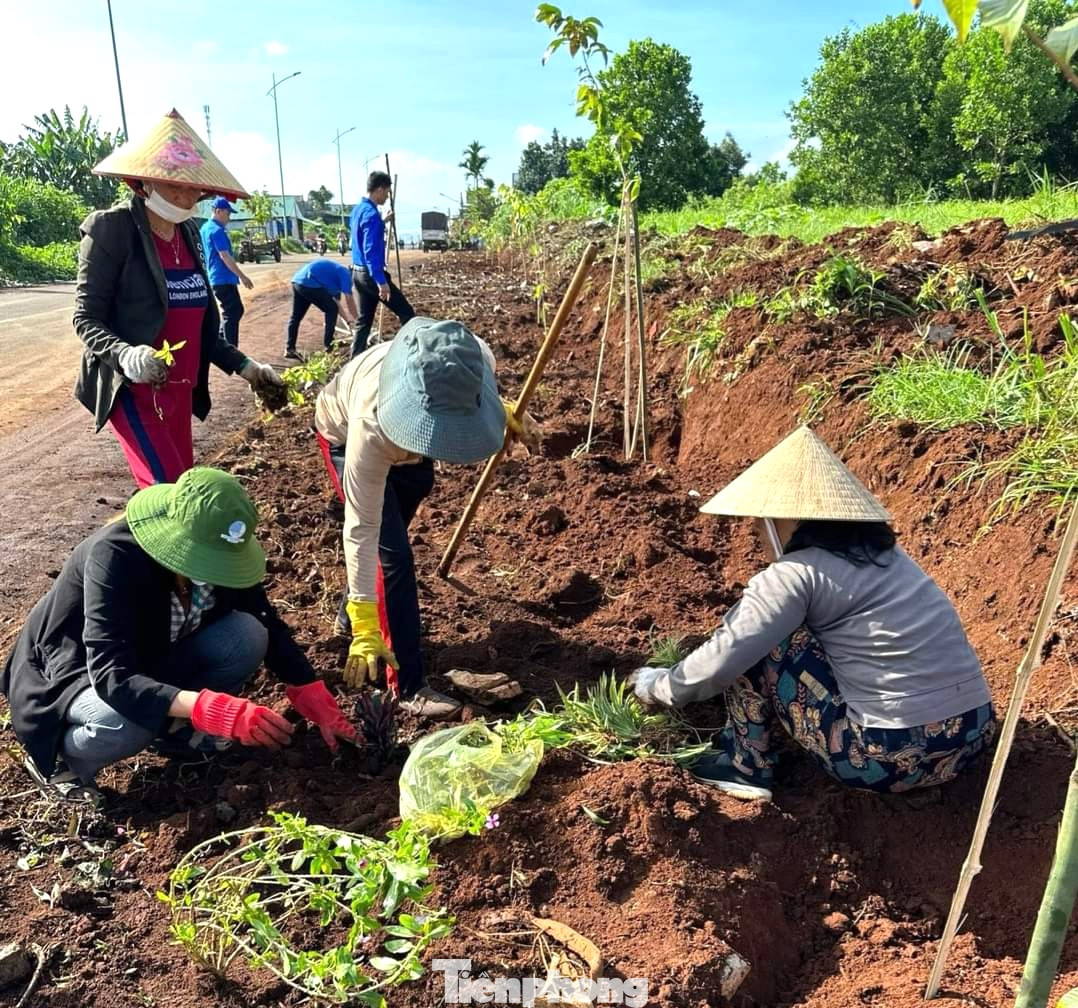 Đoàn viên thanh niên và người dân đã trồng 60 cây bằng lăng tím, trồng hoa tại khu vực này để xây dựng tuyến đường xanh - sạch - đẹp; phân công lực lượng trực 24/24h tại khu vực này để tuyên truyền người dân không bỏ rác tại đây.