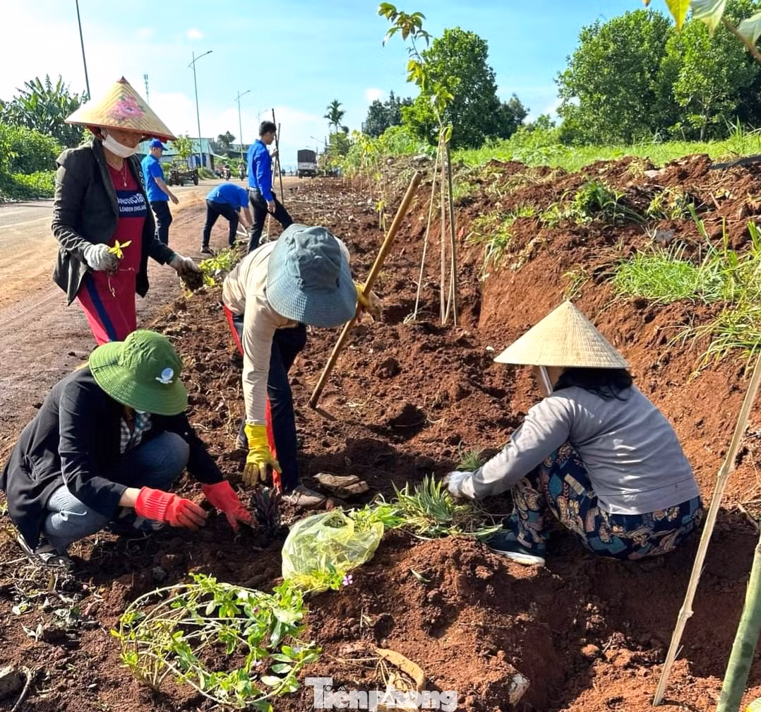 Đoàn viên thanh niên và người dân đã trồng 60 cây bằng lăng tím, trồng hoa tại khu vực này để xây dựng tuyến đường xanh - sạch - đẹp; phân công lực lượng trực 24/24h tại khu vực này để tuyên truyền người dân không bỏ rác tại đây.
