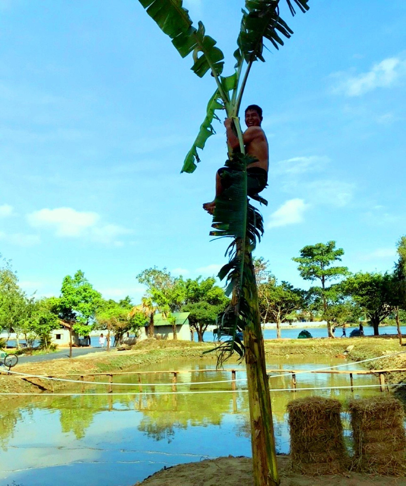 Trải nghiệm trèo cây chuối