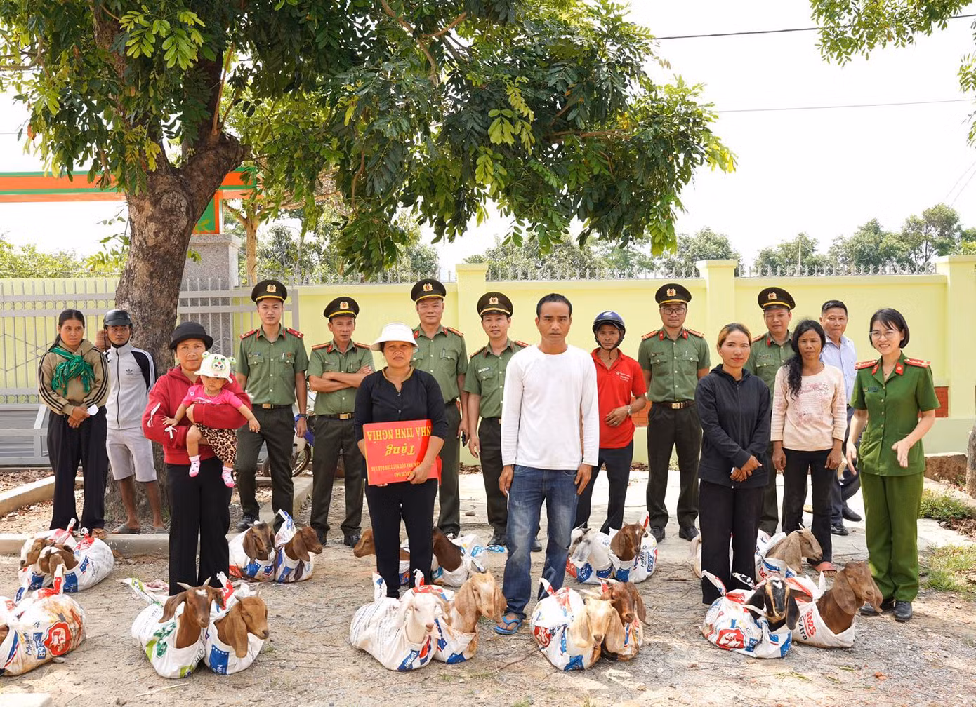 Các hộ có hoàn cảnh đặc biệt khó khăn được trao 20 con dê sinh sản
