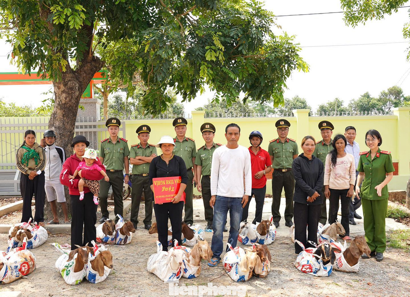 Các hộ có hoàn cảnh đặc biệt khó khăn được trao 20 con dê sinh sản