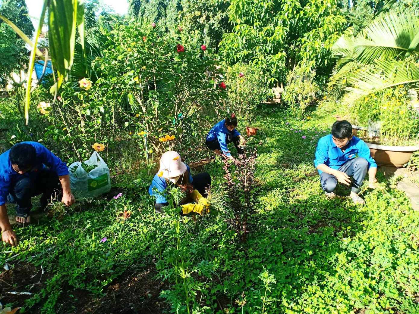 Các cấp bộ đoàn ra quân ngày Chủ nhật xanh