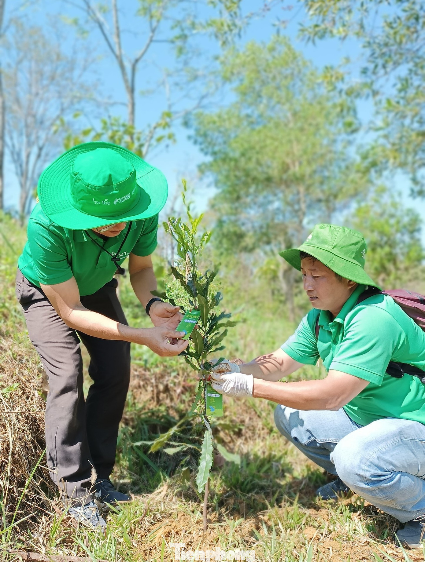 Bên cạnh đó các thành viên đã trồng hơn 50 cây giống tạo sinh kế cho người dân sinh sống dọc 2 bên đường lên thác Liêng Búk Sắc gồm: 25 cây mắc ca, 10 cây gỗ hương, 10 cây lim xanh rừng và 10 cây phượng tím.