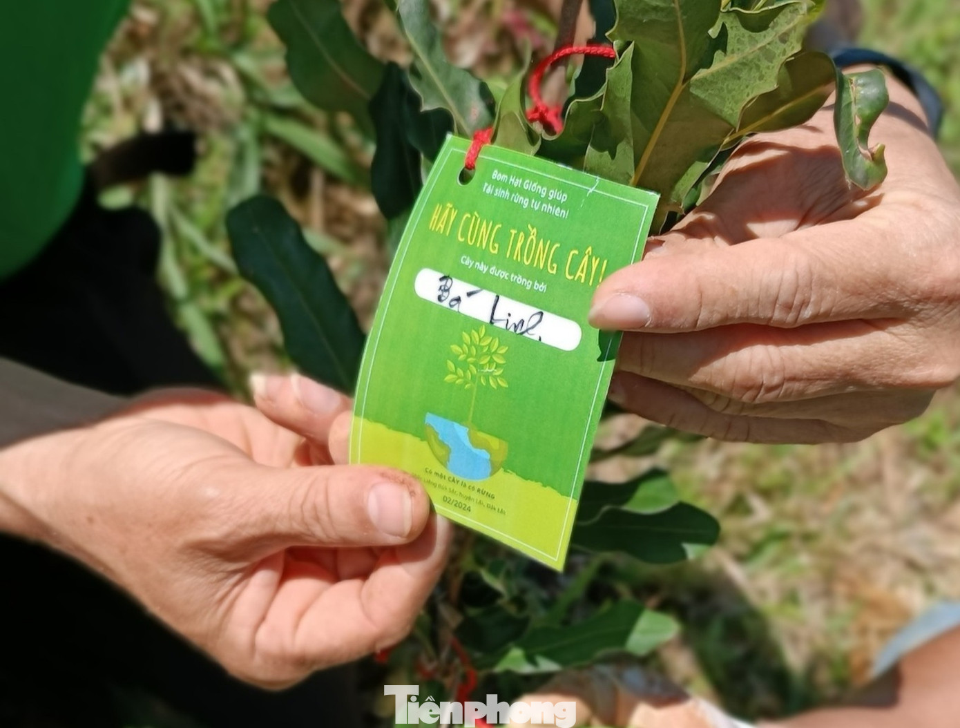 Sau khi trồng, mỗi cây sẽ được các bạn gắn 1 tấm thẻ ghi tên người trồng, thời gian và địa điểm trồng cây.