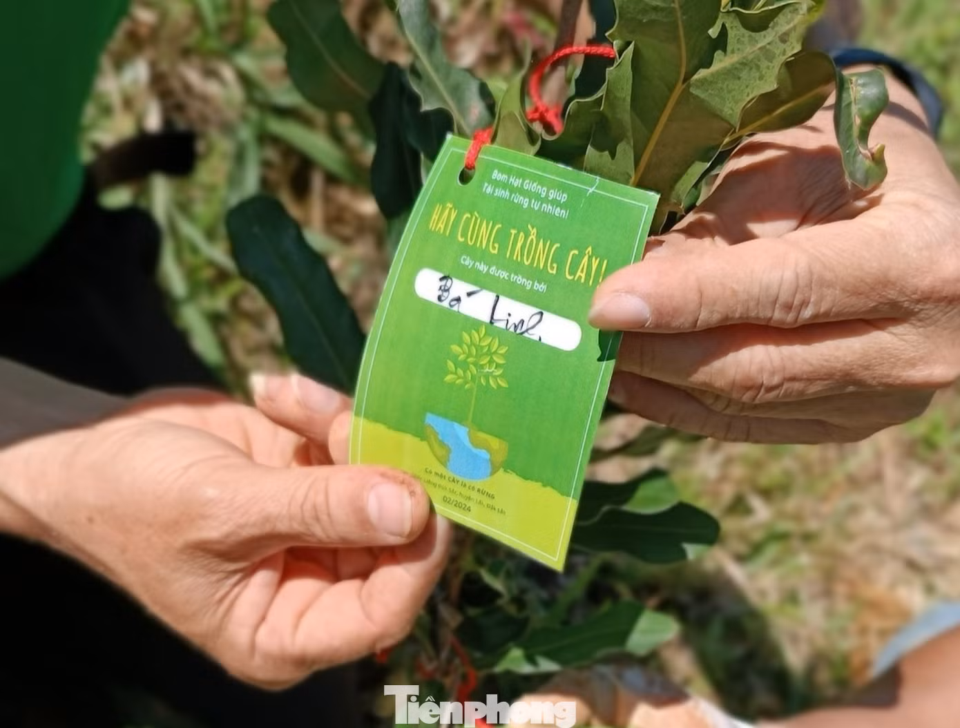 Sau khi trồng, mỗi cây sẽ được các bạn gắn 1 tấm thẻ ghi tên người trồng, thời gian và địa điểm trồng cây.