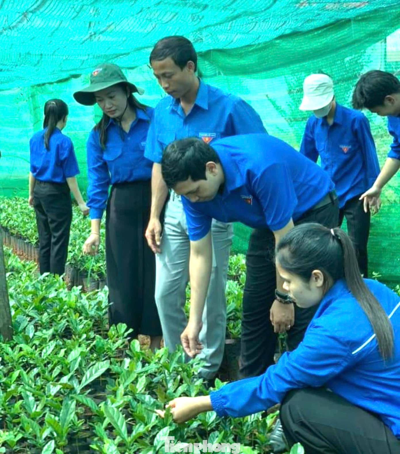Nhiều mô hình khởi nghiệp của thanh niên trên địa bàn huyện Cư M'gar Nhiều mô hình khởi nghiệp của thanh niên trên địa bàn huyện Cư M'gar