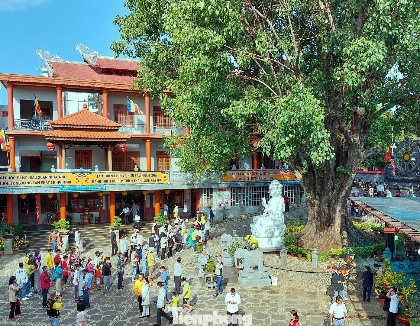 Các năm trước, sân sau tượng Phật Thích Ca đặt dưới gốc bồ đề chật kín. Năm nay, lượng người không quá đông. Các năm trước, sân sau tượng Phật Thích Ca đặt dưới gốc bồ đề chật kín. Năm nay, lượng người không quá đông.