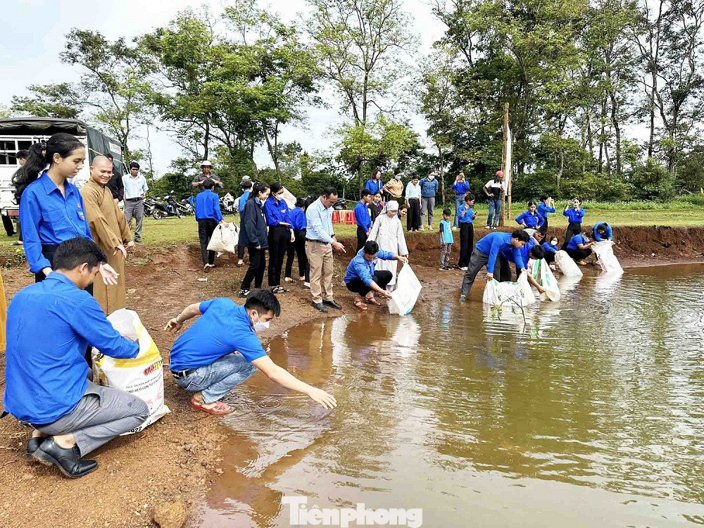 Đông đảo đoàn viên thanh niên tham gia thả cá trong Ngày Môi trường thế giới