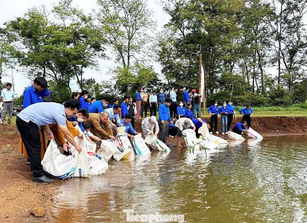 Huyện Đoàn Cư M'gar tổ chức lễ thả cá bổ sung nguồn lợi thủy sản