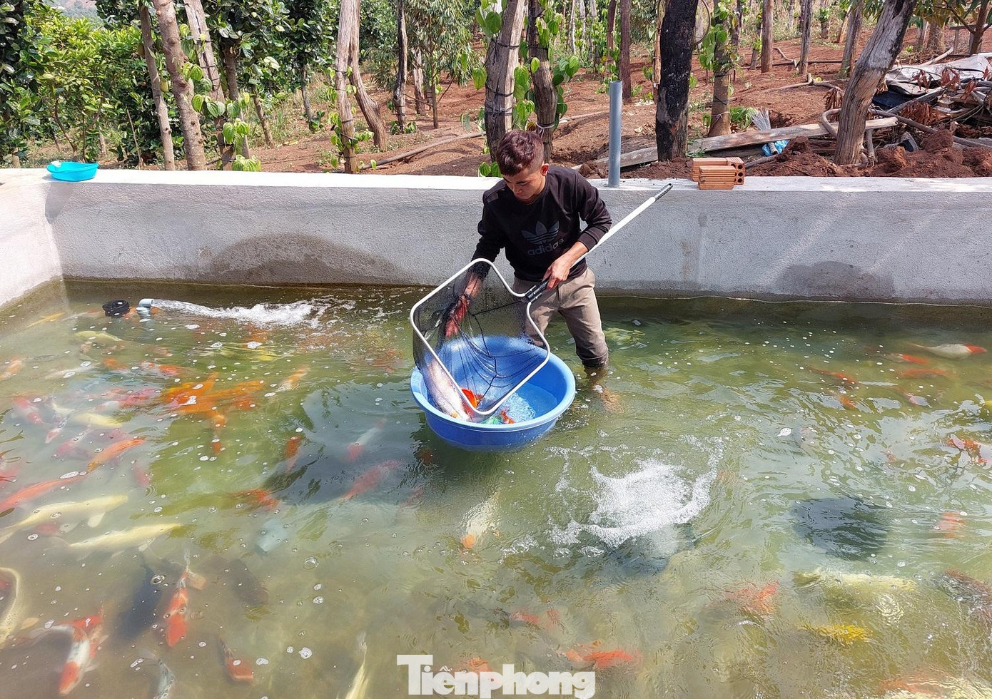 Hùng vớt cá, chụp hình gửi cho khách hàng