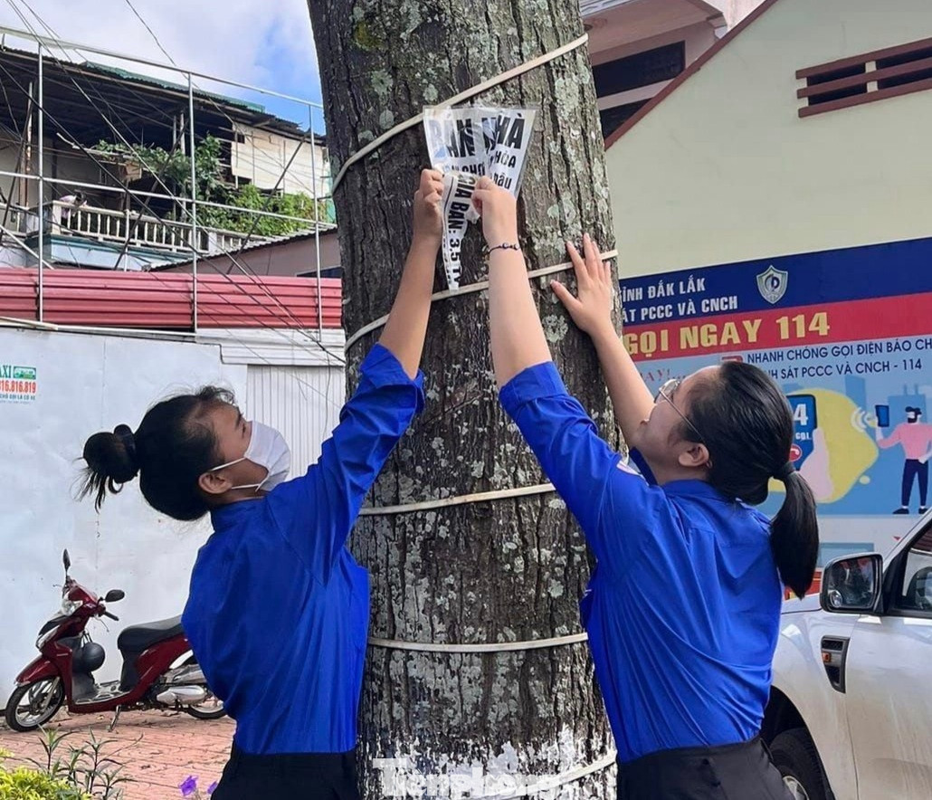Hưởng ứng ngày cao điểm chiến sĩ tình nguyện vì văn minh đô thị năm 2024, gần 800 đoàn viên, thanh niên huyện Krông Pắc triển khai nhiều hoạt động thiết thực ý nghĩa.