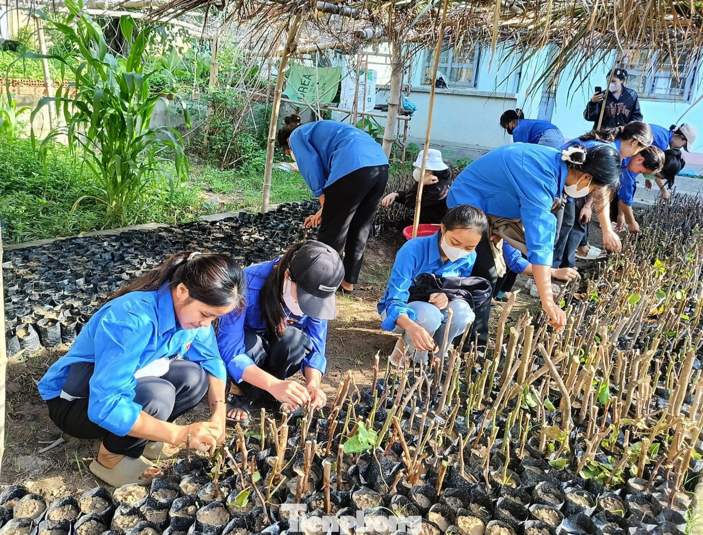 Các cấp cơ sở đoàn trồng 100 cây sao đen, xây dựng 1 mô hình cây hoa giấy với 800 cây; trao tặng 210 suất quà cho các hộ gia đình có hoàn cảnh khó khăn; tổ chức xoá quảng cáo rao vặt tại các tuyến đường; dọn dẹp vệ sinh tại các tuyến đường thanh niên tự quản.