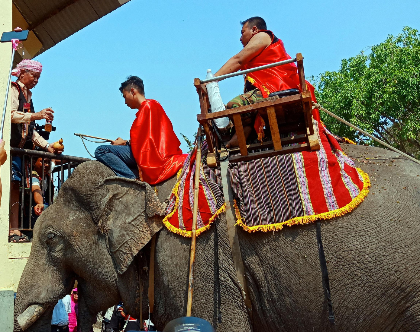 Voi được cúng sức khỏe