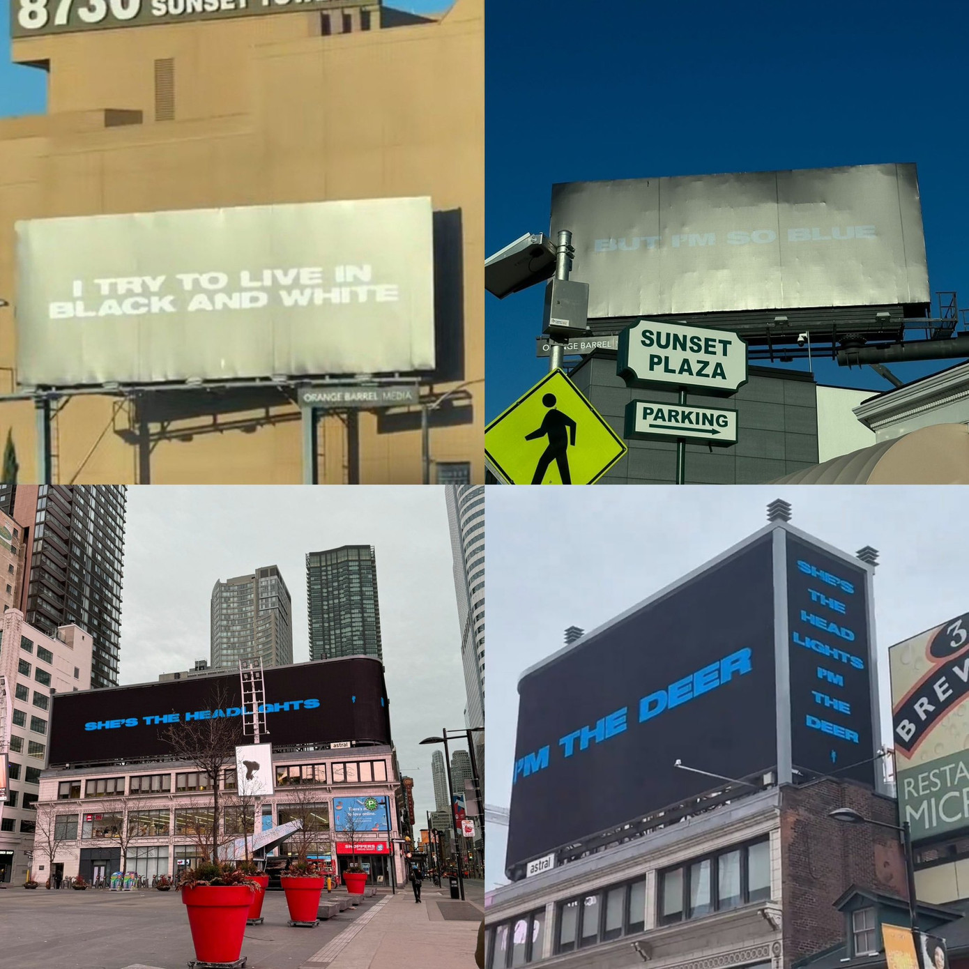 Những biển quảng cáo nhằm quảng bá sản phẩm mới của Billie. Những biển quảng cáo nhằm quảng bá sản phẩm mới của Billie.