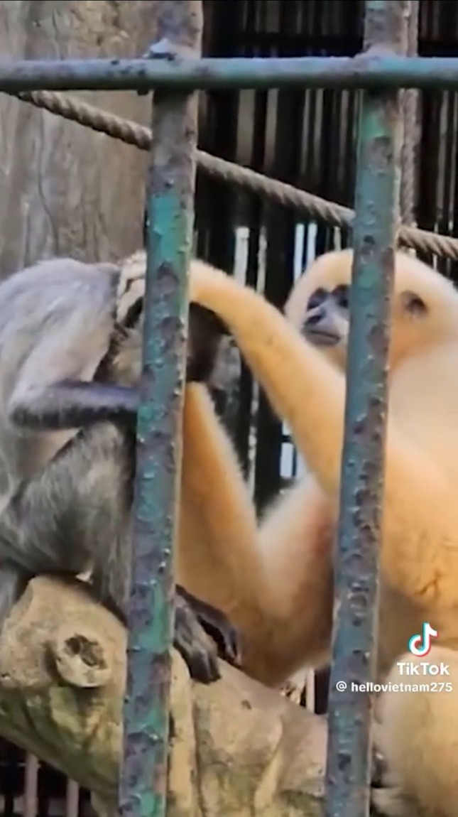 Nguồn: @hellovietnam275