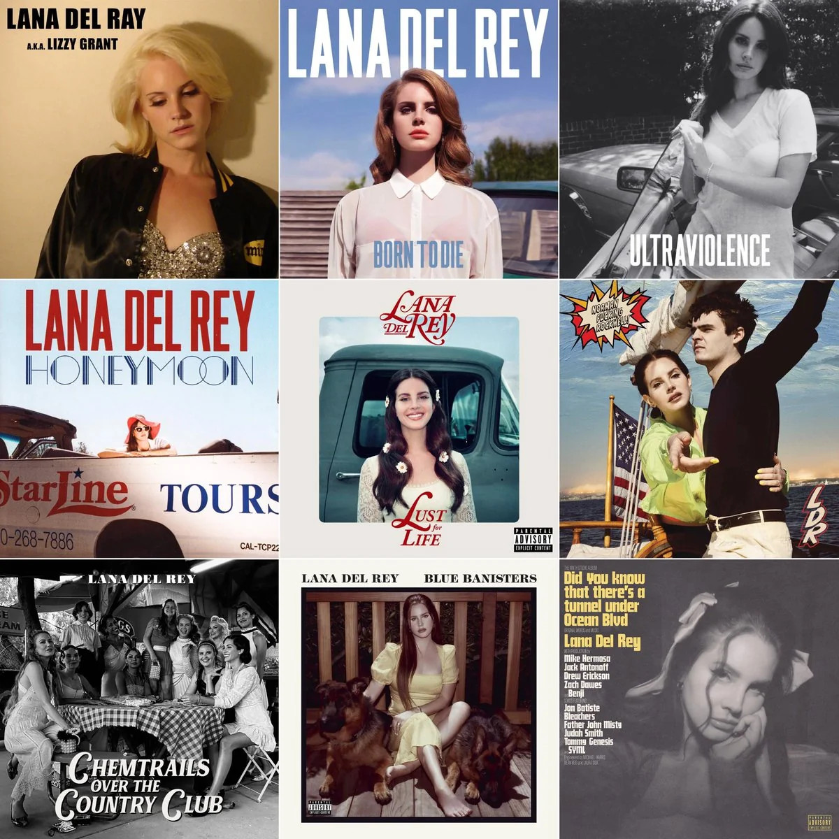 Bộ sưu tập album đồ sộ của Lana Del Rey sẵn sàng đón thêm luồng gió mới. Bộ sưu tập album đồ sộ của Lana Del Rey sẵn sàng đón thêm luồng gió mới.
