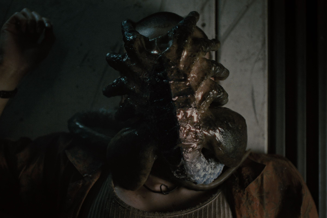 Hình ảnh quái vật Facehugger trong Alien: Romulus. Hình ảnh quái vật Facehugger trong Alien: Romulus.