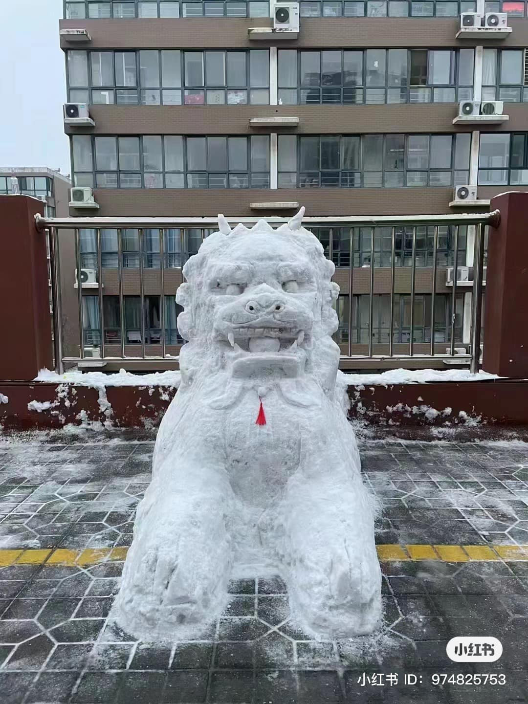 Nhìn những tấm ảnh này, netizen không khỏi "mắt chữ O, miệng chữ A". Nguồn: Xiaohongshu