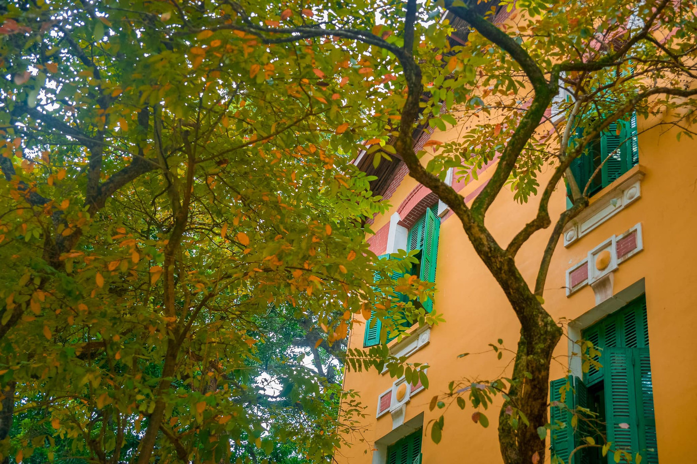 Chỉ cần cầm máy lên là teen đã "rinh" về cả nghìn tấm ảnh "sống ảo" trong khuôn viên trường THPT Chu Văn An! - Ảnh: Fanpage Đoàn trường THPT Chu Văn An