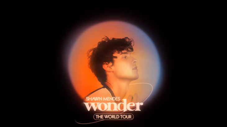 Chuyến lưu diễn Wonder bị cắt ngắn do vấn đề sức khỏe tinh thần.