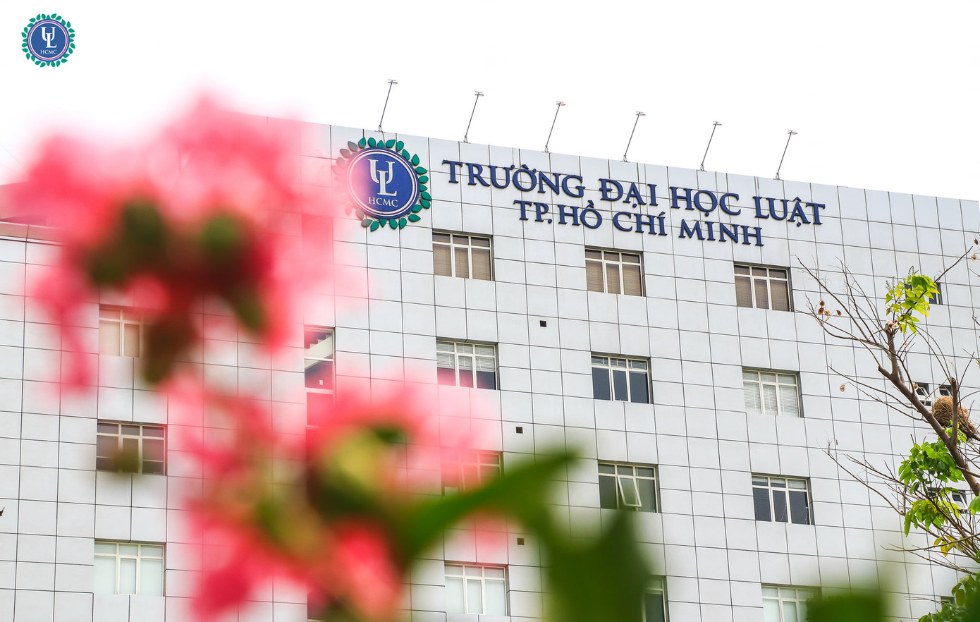 Trường Đại học Luật TPHCM giảm 5% chỉ tiêu so với năm 2023. Ảnh: Internet Trường Đại học Luật TPHCM giảm 5% chỉ tiêu so với năm 2023. Ảnh: Internet