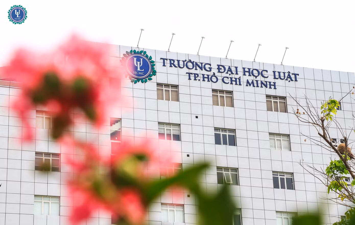 Trường Đại học Luật TPHCM giảm 5% chỉ tiêu so với năm 2023. Ảnh: Internet Trường Đại học Luật TPHCM giảm 5% chỉ tiêu so với năm 2023. Ảnh: Internet