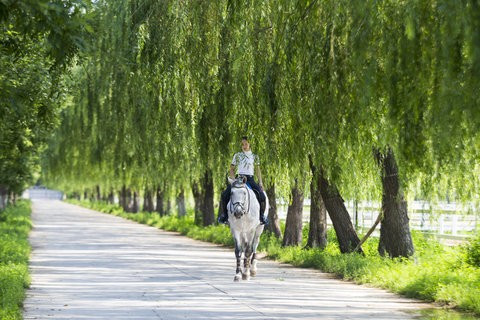 Tận thấy cuộc sống xa hoa của nhà giàu Trung Quốc ảnh 10