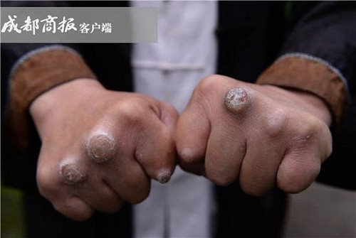 Chưởng môn phái Thanh Thành muốn thanh lọc võ lâm Trung Quốc ảnh 2