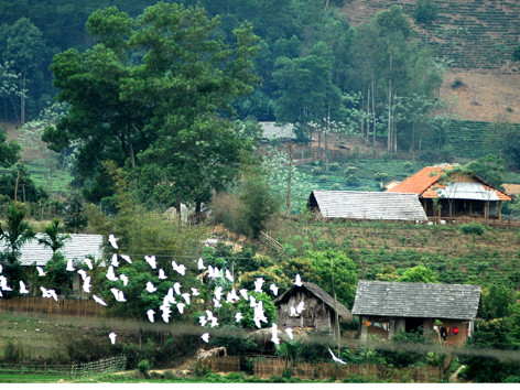 Bản Dõn ngày nay. Ảnh: Hồng Vĩnh