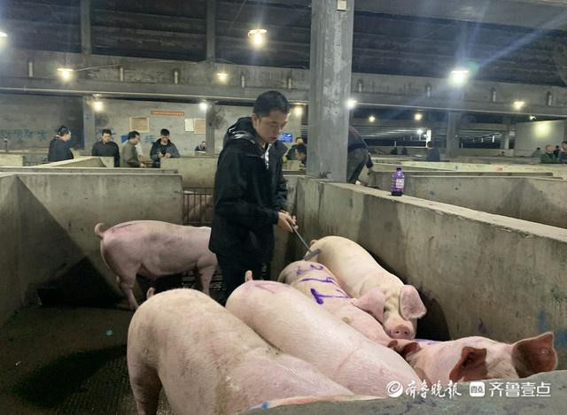 cử nhân bán thịt lợn ở trung quốc ảnh 2 Anh chàng 31 tuổi nổi tiếng trên mạng khi livestream bán thịt.