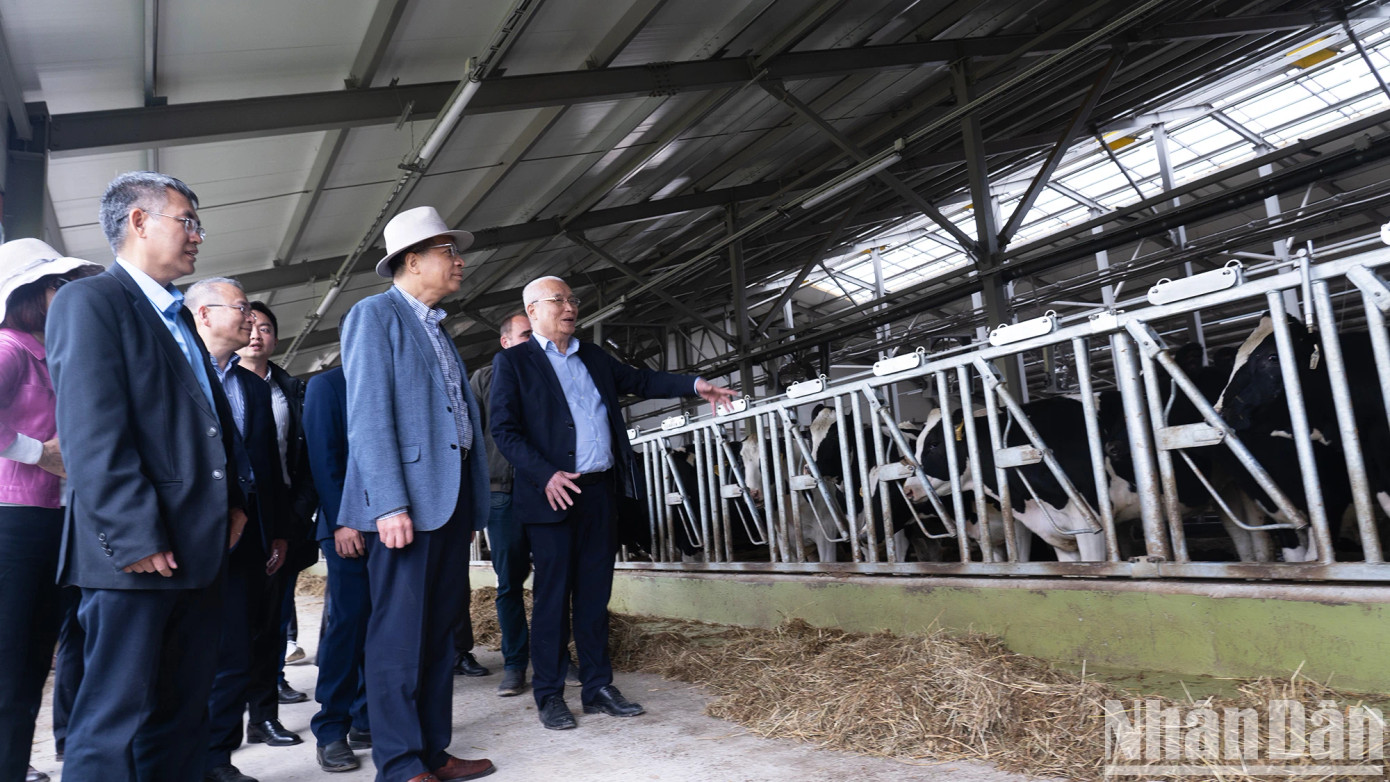 Đại sứ Việt Nam tại Nga Đặng Minh Khôi thăm trang trại bò sữa của Tập đoàn TH tại Nga. Ảnh: Thanh Thế Đại sứ Việt Nam tại Nga Đặng Minh Khôi thăm trang trại bò sữa của Tập đoàn TH tại Nga. Ảnh: Thanh Thế